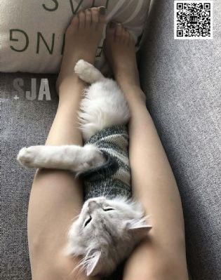 聂小雨无码AV无码视频_超清高清在线
