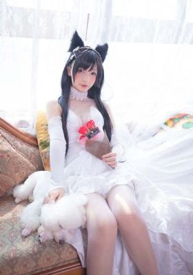 精品黄色av_BD英语在线观看完整版